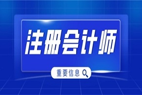 聊聊注冊會計師的審計權(quán)